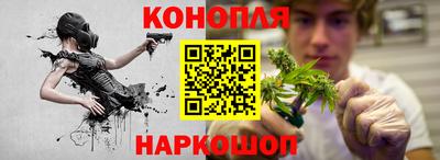 apvp Вышний Волочёк