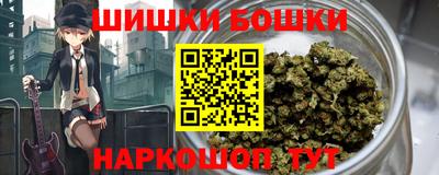 apvp Вышний Волочёк
