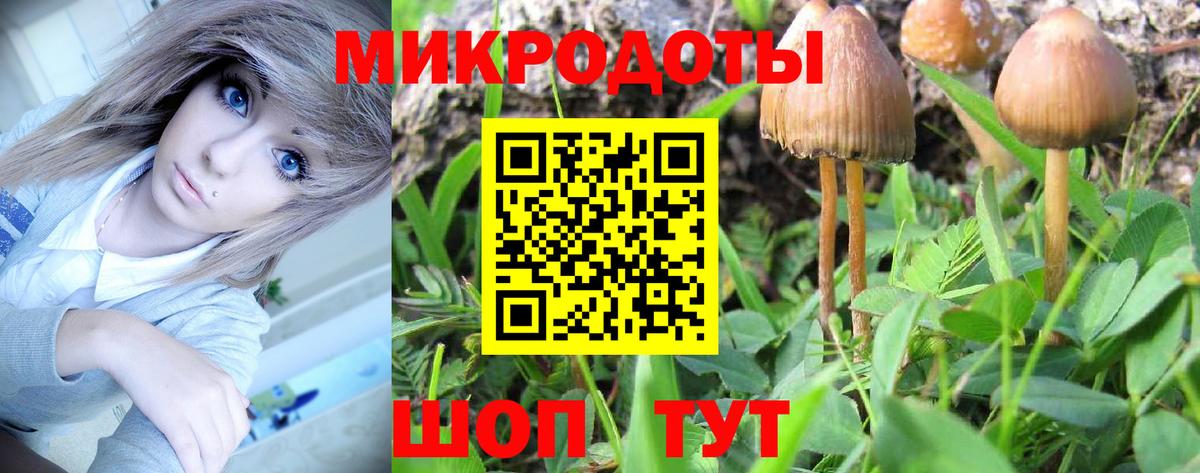 Бузулук  что такое наркотик  Вход с VPN  Галлюциногенные грибы прущие грибы 