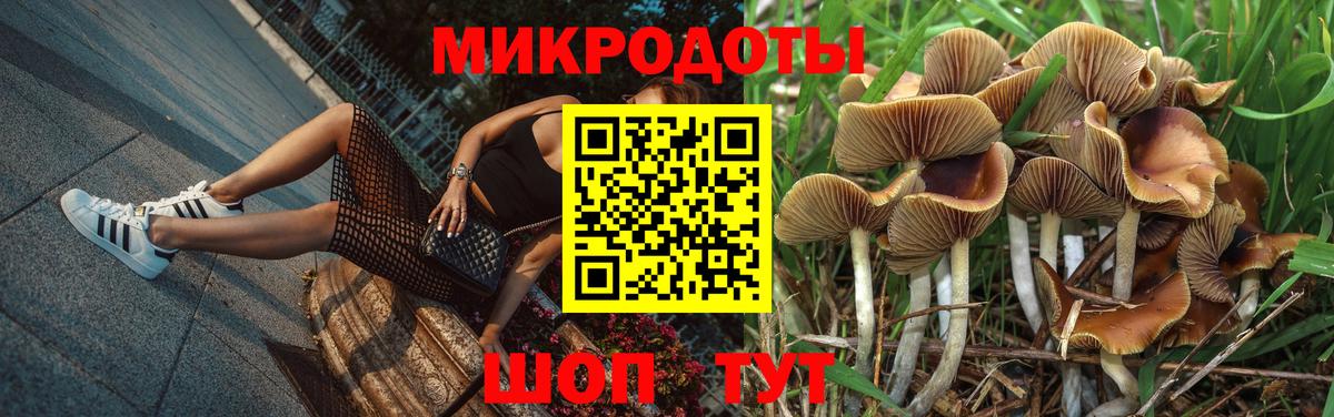 Псилоцибиновые грибы Magic Shrooms Бузулук